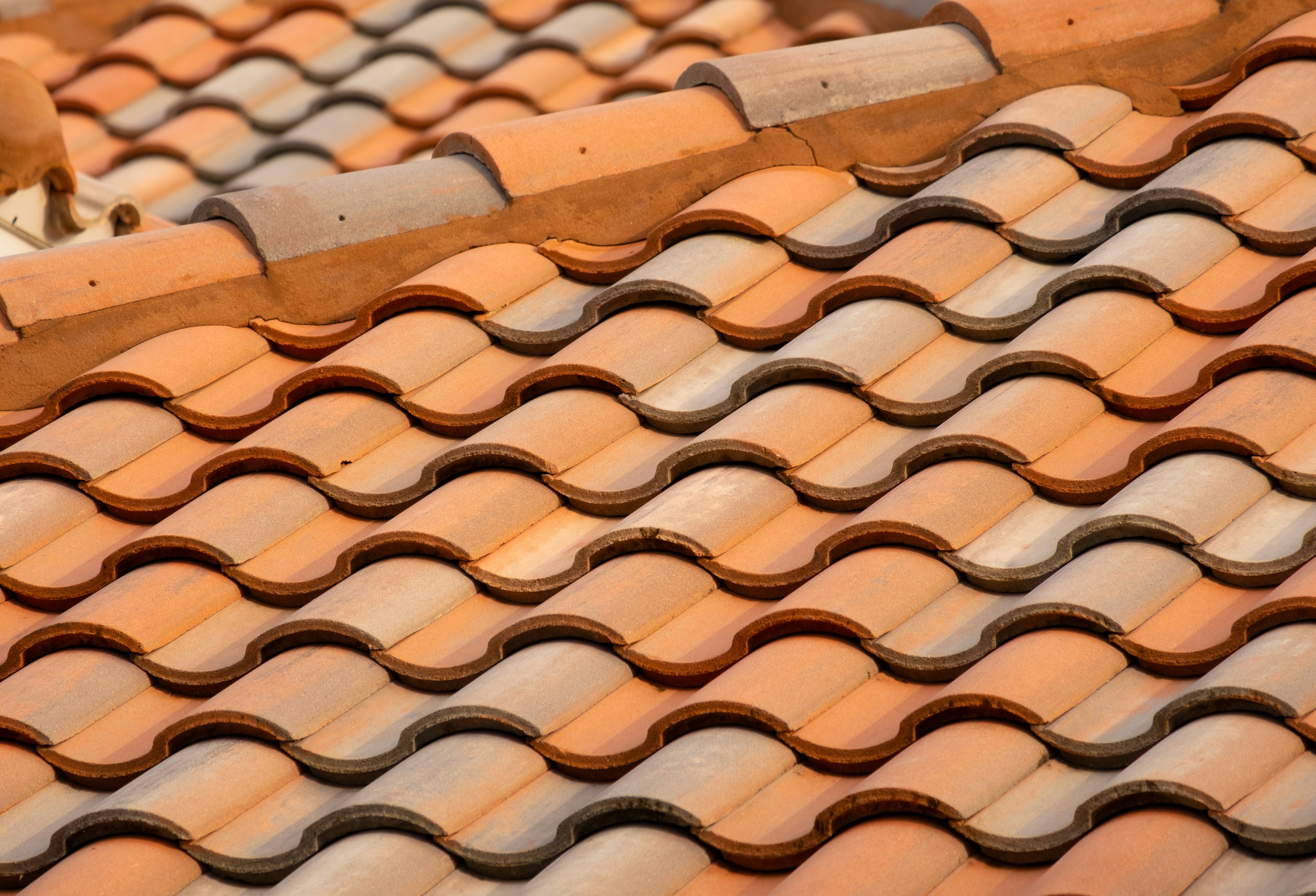 A roof composed of orange clay tiles arranged neatly.